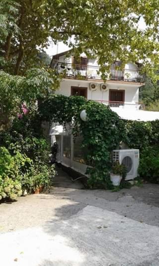 Pansion Mimoza Bed & Breakfast Herceg Novi Eksteriør bilde