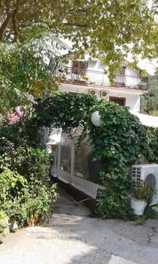 Pansion Mimoza Bed & Breakfast Herceg Novi Eksteriør bilde