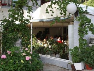 Pansion Mimoza Bed & Breakfast Herceg Novi Eksteriør bilde